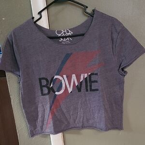 Chaser Gray Bowie Graphic Crop Top